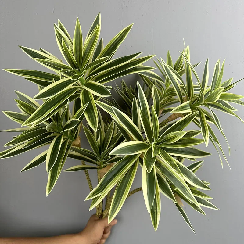 Artificial Green Plants Tropic - Dracaena Marginata ulasan dan harga