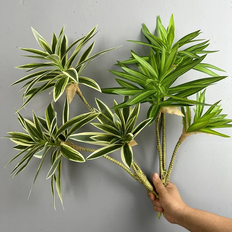Artificial Green Plants Tropic - Dracaena Marginata ulasan dan harga