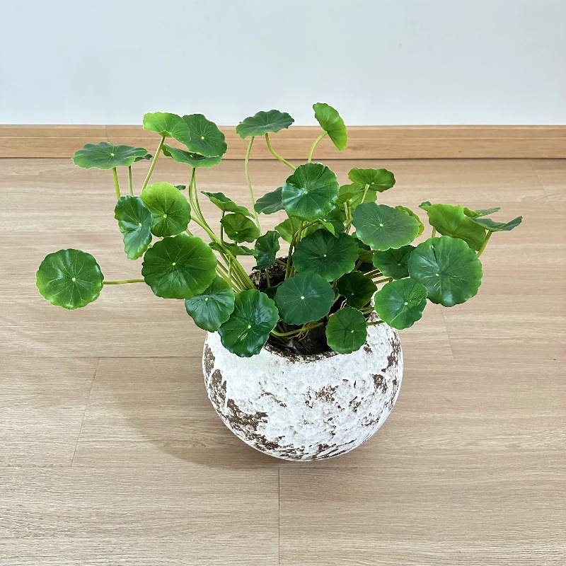 2pcs Artificial Pilea Peperomi - Pilea Peperomioides ulasan dan harga