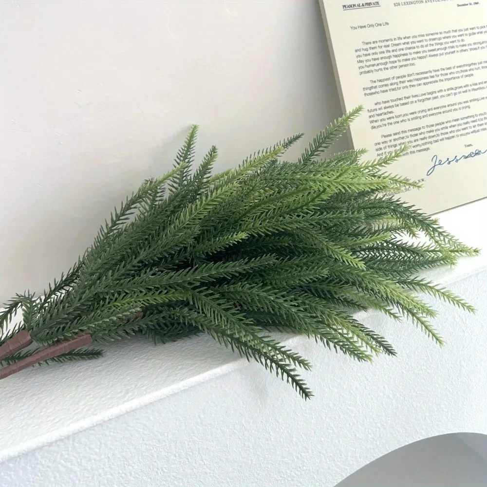 Christmas Norfolk Branches Rea - Dracaena Marginata ulasan dan harga