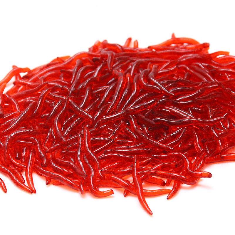 50pcs/Lot Lifelike Red Worm So - Aglaonema Red ulasan dan harga